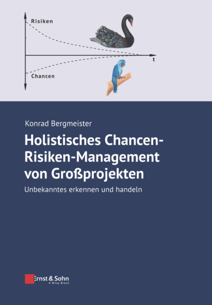 Holistisches Chancen-Risiken-Management von Grossprojekten