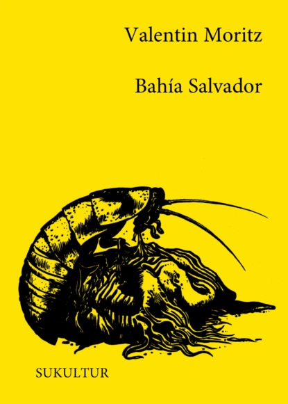 Bahía Salvador