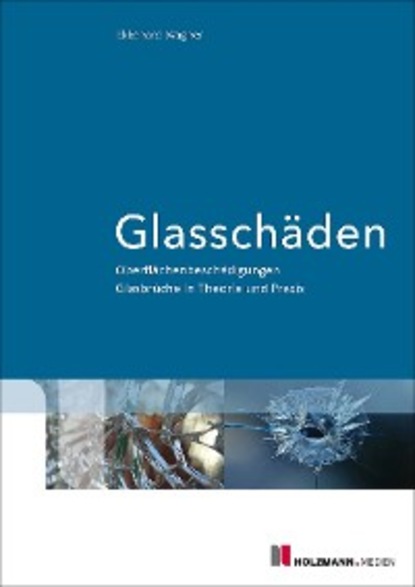 E-Book ""Glasschäden""