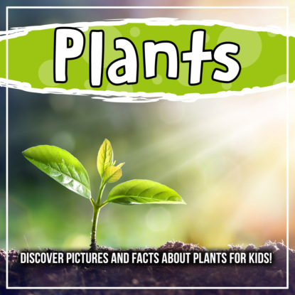 Plants: Discover Pictures and Facts About Plants For Kids!