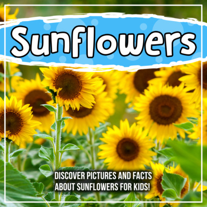 Sunflowers: Discover Pictures and Facts About Sunflowers For Kids!