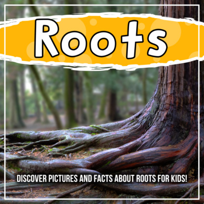 Roots: Discover Pictures and Facts About Roots For Kids!
