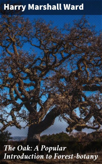 The Oak: A Popular Introduction to Forest-botany