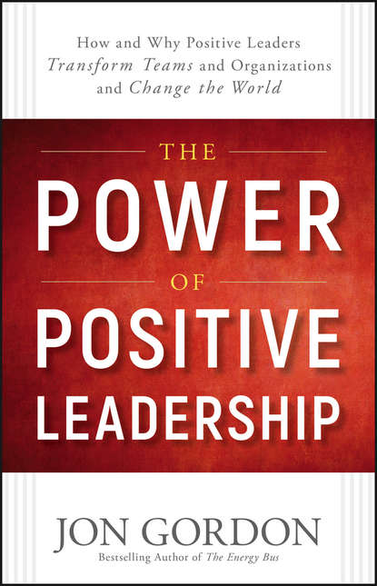 The Power of Positive Leadership. How and Why Positive Leaders Transform Teams and Organizations and Change the World