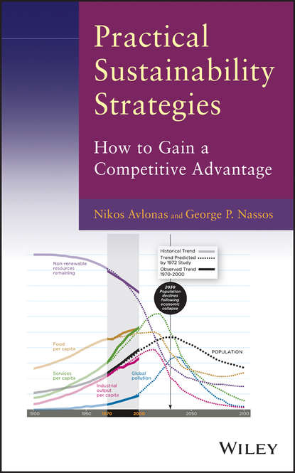 Practical Sustainability Strategies. How to Gain a Competitive Advantage