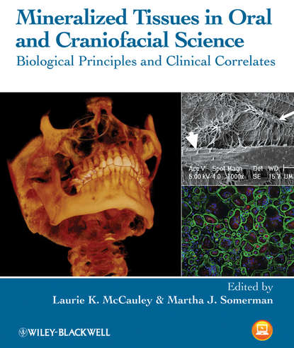 Mineralized Tissues in Oral and Craniofacial Science. Biological Principles and Clinical Correlates