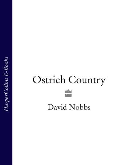 Ostrich Country