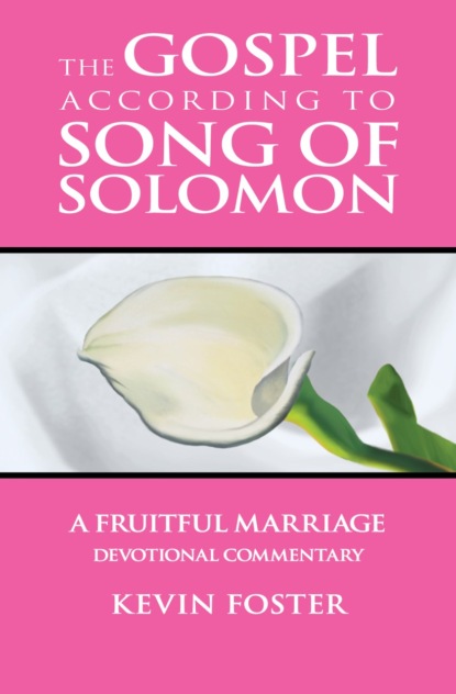 Gospel According to Song of Solomon