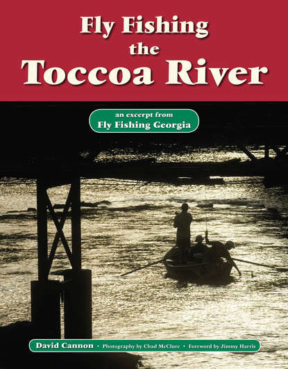 Fly Fishing the Toccoa River