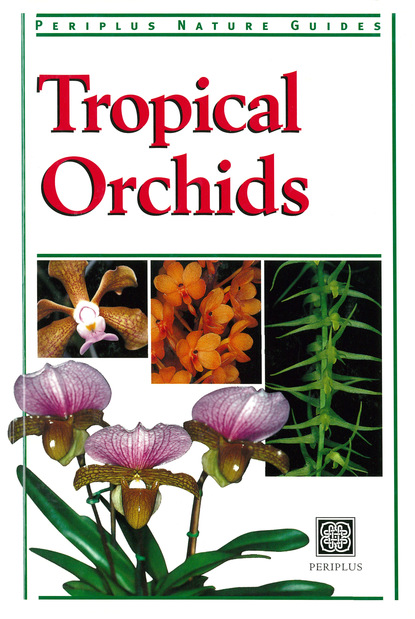 Tropical Orchids of Southeast Asia