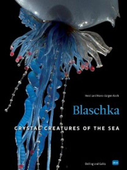 Blaschka (HD-Version)