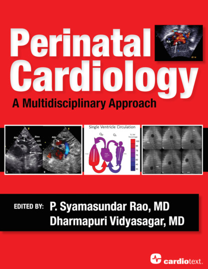 Perinatal Cardiology: A Multidisciplinary Approach