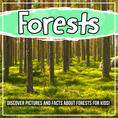 Forests: Discover Pictures and Facts About Forests For Kids!