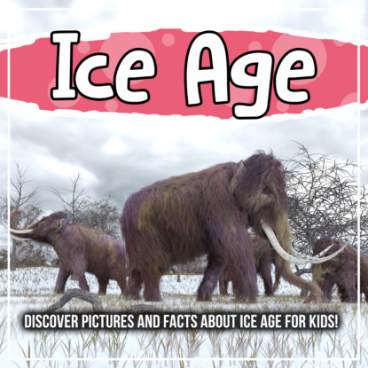 Ice Age: Discover Pictures and Facts About Ice Age For Kids!