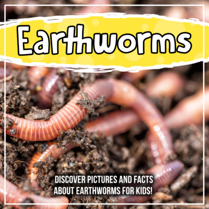 Earthworms: Discover Pictures and Facts About Earthworms For Kids!