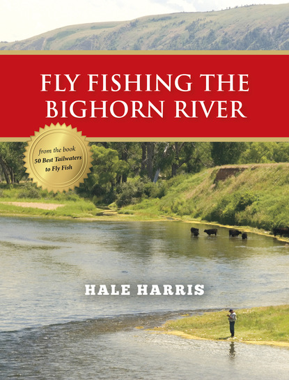 Fly Fishing the Bighorn River