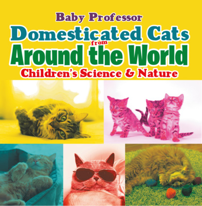 Domesticated Cats from Around the World | Children's Science & Nature