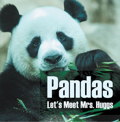 Pandas - Let's Meet Mrs. Huggs