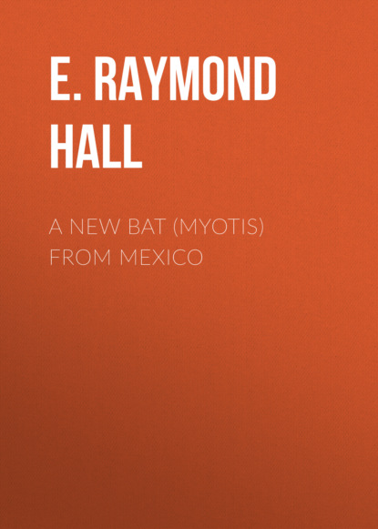 A New Bat (Myotis) From Mexico