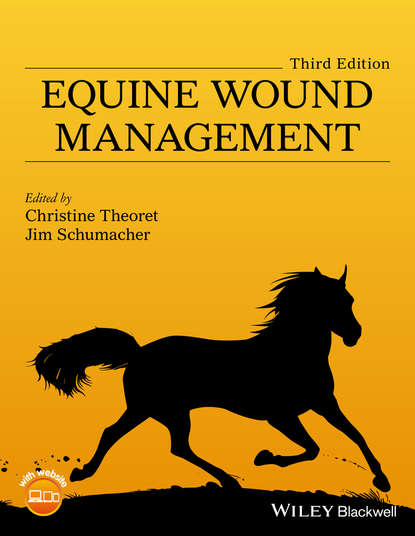 Equine Wound Management