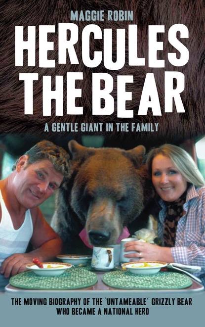 Hercules the Bear - A Gentle Giant in the Family