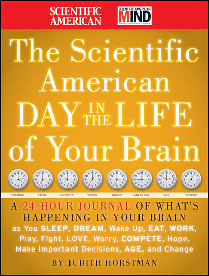 The Scientific American Day in the Life of Your Brain. A 24 hour Journal of What's Happening in Your Brain as you Sleep, Dream, Wake Up, Eat, Work, Play, Fight, Love, Worry, Compete, Hope, M