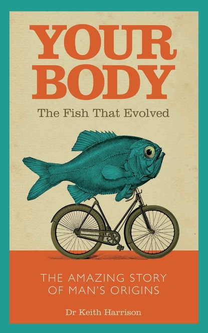 Your Body - The Fish That Evolved