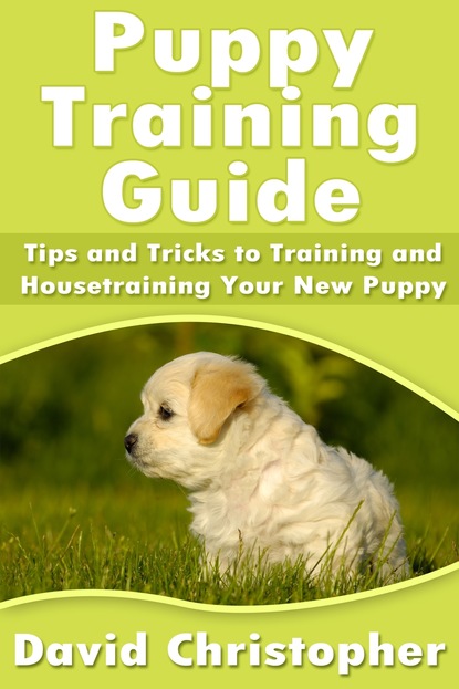 Puppy Training Guide: Tips and Tricks to Training and Housetraining Your New Puppy