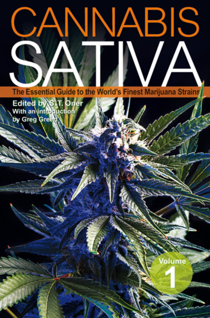 Cannabis Sativa