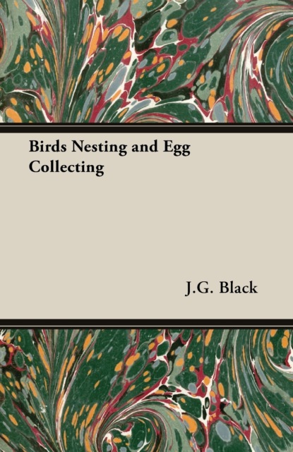 Birds Nesting and Egg Collecting