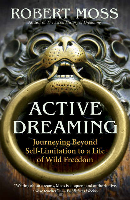 Active Dreaming