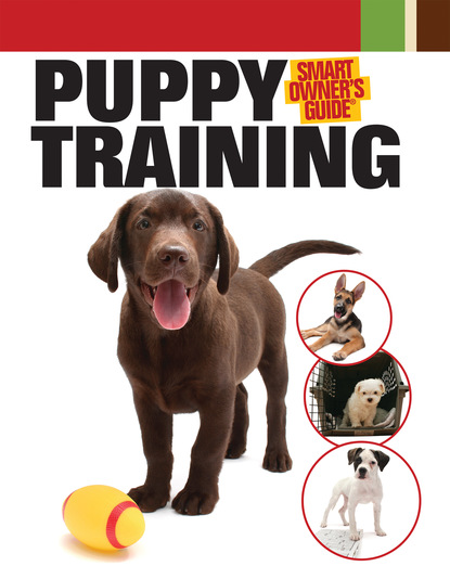 Puppy Training