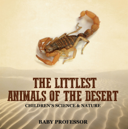The Littlest Animals of the Desert | Children's Science & Nature
