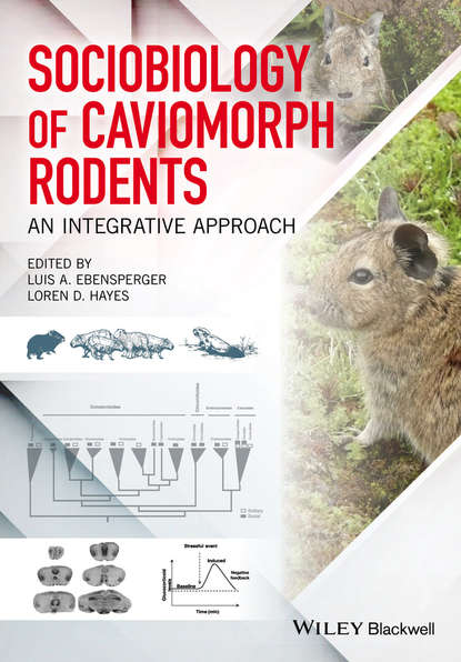 Sociobiology of Caviomorph Rodents