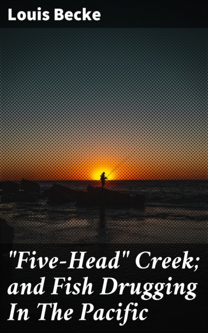 ""Five-Head"" Creek; and Fish Drugging In The Pacific