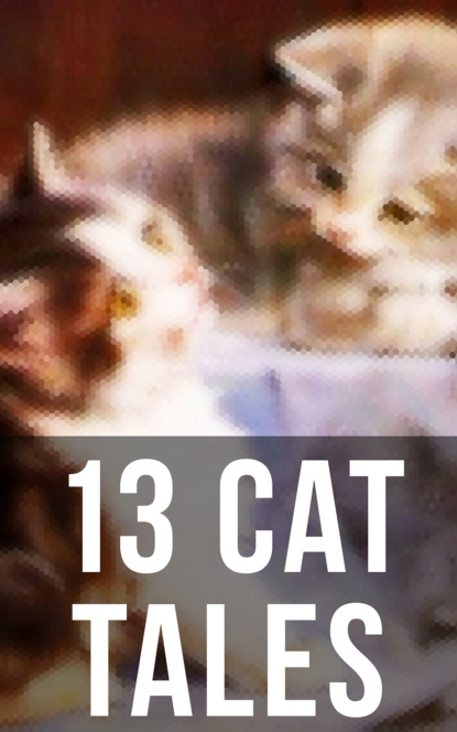 13 Cat Tales