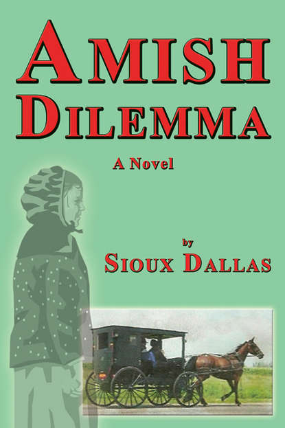 Amish Dilemma: A Novel