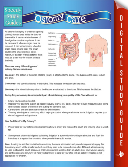 Ostomy Care (Speedy Study Guides)