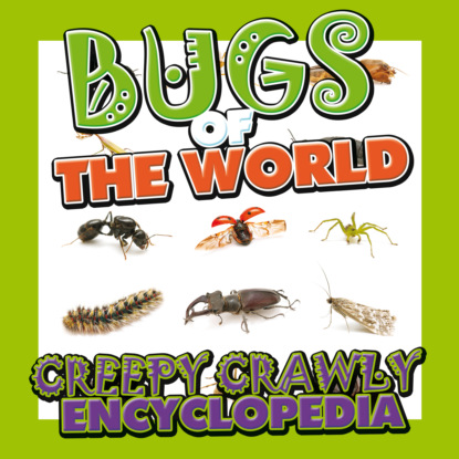 Bugs of the World (Creepy Crawly Encyclopedia)