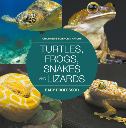 Turtles, Frogs, Snakes and Lizards | Children's Science & Nature