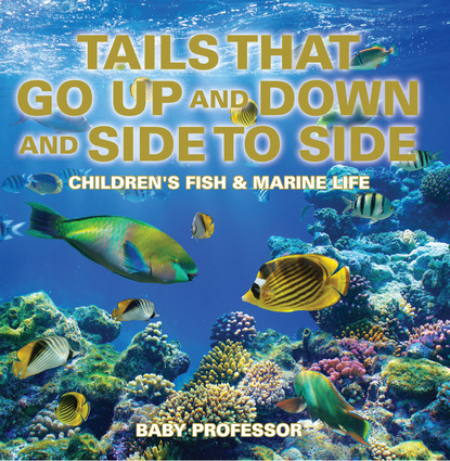 Tails That Go Up and Down and Side to Side | Children's Fish & Marine Life