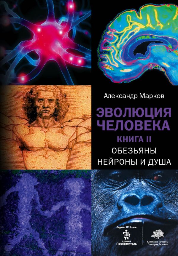 Эволюция человека. [В 2 книгах.] Книга 2. Обезьяны, нейроны и душа