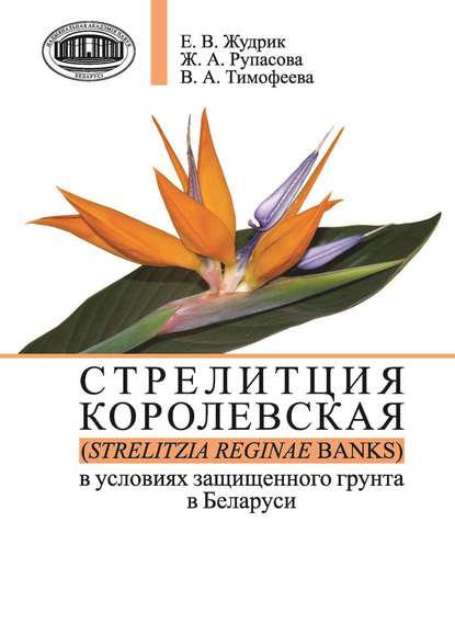Стрелитция королевская (Strelitzia reginae Banks) в условиях защищенного грунта в Беларуси