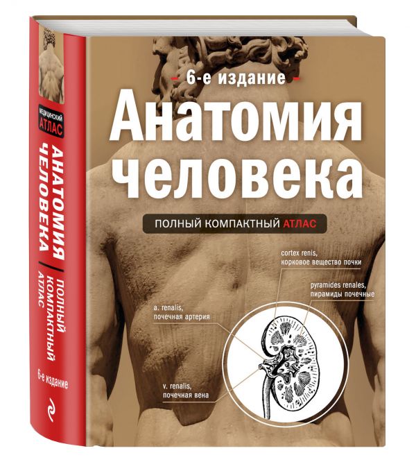 Анатомия человека: полный компактный атлас. 6-е издание