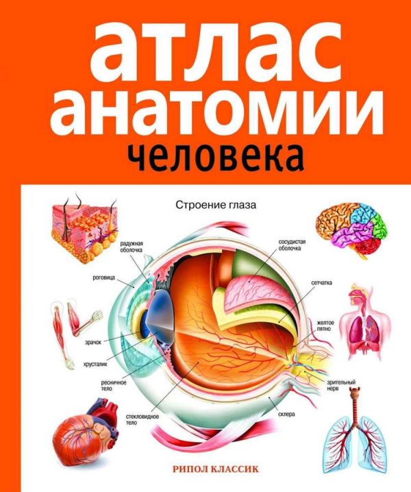 Атлас анатомии человека. 2-е изд., доп. и перераб. Марысаев В.Б.
