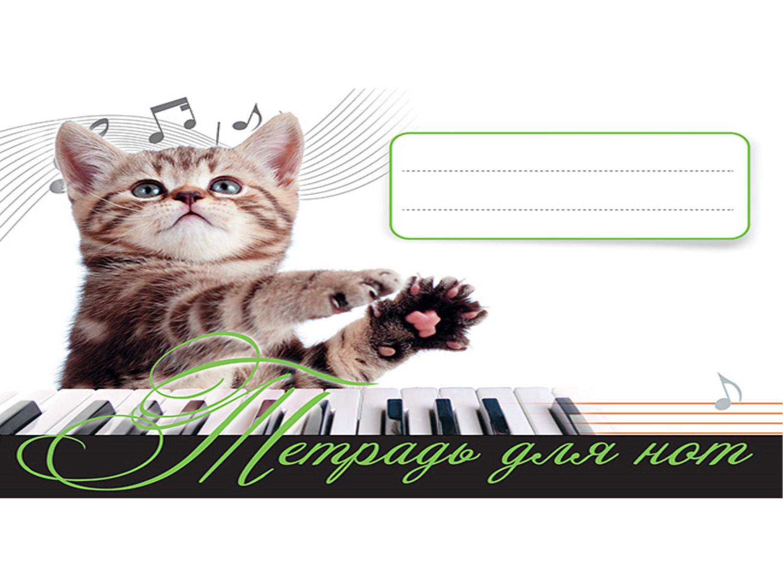 Тетрадь для нот «Котенок - музыкант», 16 листов