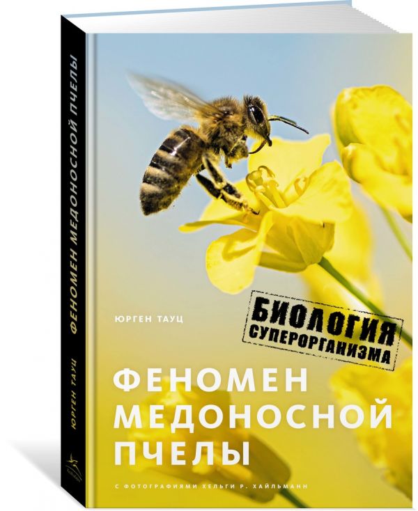 Феномен медоносной пчелы. Биология суперорганизма