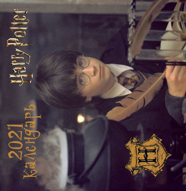 Настенный календарь на 2021 год «Гарри Поттер», 17х17 см