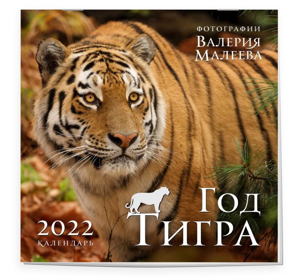Год тигра. Фотографии Валерия Малеева. Календарь настенный на 2022 год (300х300 мм)